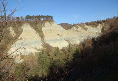 Tour Wandern Rosières - Rosières 43 - Photo