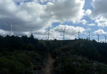 Excursión Senderismo Névian - bizanet les eoliennes - Photo