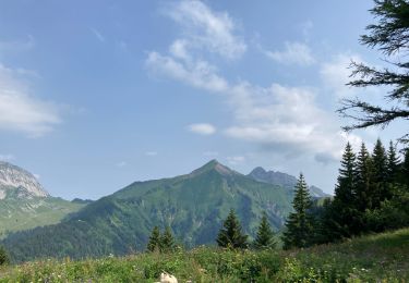 Trail Walking Cléry - Chalet de la balme col de la fougère  - Photo