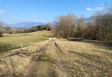 Tour Wandern Saint-Laurent-du-Pont - Le balcon de Saint Laurent  - Photo