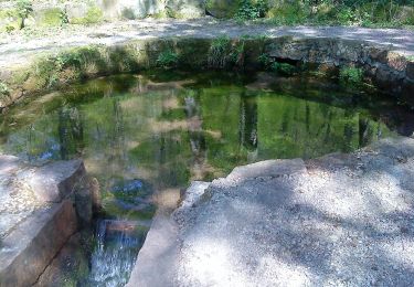 Excursión A pie Wiesener Forst - Ortswanderweg Kleinkahl 1 - Photo