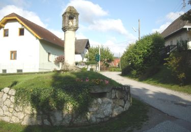 Trail On foot Gemeinde Alland - Allander Wanderweg 8 - Photo