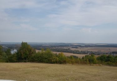 Tocht Stappen Saint-Pierre-du-Vauvray - 20220901-St Pierre du Vauvray - Photo