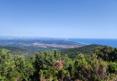 Tour Elektrofahrrad Argelès-sur-Mer - château de Valmy Argelès sur Mer  - Photo