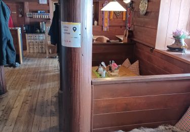 Trail Touring skiing Gemeinde Tulfes - glungezerhutte - Photo