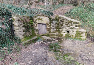 Randonnée Marche Saint-Donat-sur-l'Herbasse - champo bois de sizey rb azur  - Photo