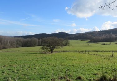 Tour Wandern Viroinval - Viroinval Randonnée - Photo