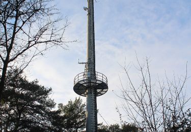 Tour Zu Fuß Hafenlohr - Kulturweg Marktheidenfeld 4 - Photo