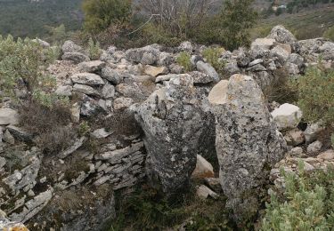 Excursión Senderismo Spéracèdes - cabris croix et dolmen  - Photo