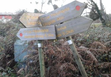 Tocht Te voet Léogeats - La Hounrède : boucle locale - Photo