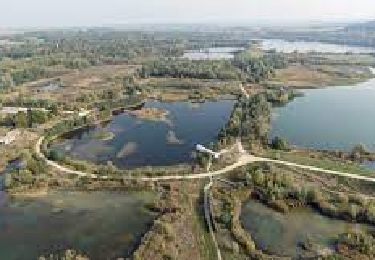 Percorso A piedi Congis-sur-Thérouanne - Les Etangs du Grand Voyeux et les Trois Rivières - Photo
