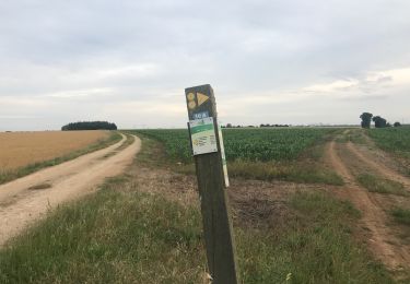 Excursión Senderismo Chasseneuil-du-Poitou - Ensoulesse  - Photo