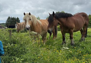 Trail Walking Rendeux - Marcouray - Photo
