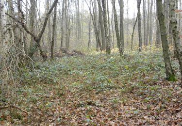 Tour Zu Fuß Sint-Truiden - Nieuwenhoven rode driehoek - Photo