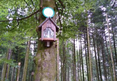 Tour Wandern Langstein - Pierre Percée - Photo