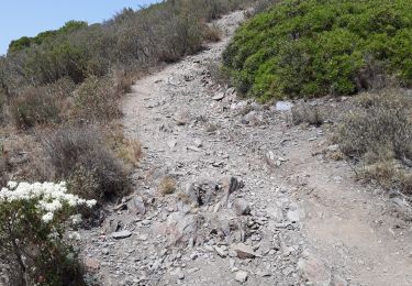 Trail Walking Cadaqués - Gr92-04 - Photo