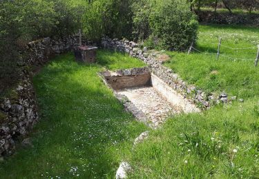 Trail Walking Ligneyrac - Ligneyrac-Saillac-Collonges - Photo