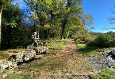 Percorso Marcia Concots - Cremps Bach Escamps  - Photo