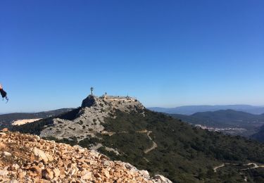 Trail Walking Le Revest-les-Eaux - Mont Caume par les Lapiaz - Photo