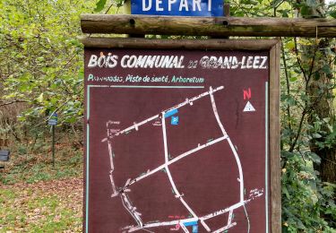 Randonnée Marche Gembloux - Promenade du bois de Grand-Leez et son étang - Photo