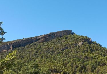 Trail Walking Mollans-sur-Ouvèze - Mollans sur Ouveze - Photo