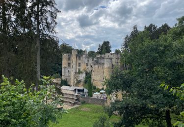 Tocht Stappen Echternach - Echternach-Beaufort - Photo