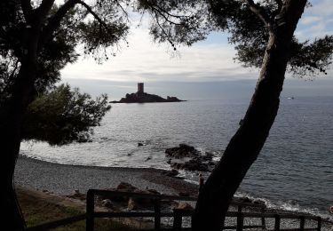 Tocht Stappen Saint-Raphaël - Le Tour du Dramont - Photo