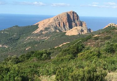 Excursión Senderismo Piana - Capu Rossu - Photo