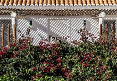 Tocht Te voet Moncarapacho e Fuseta - Caminhos Romanos e Cerro da Cabeça - Photo