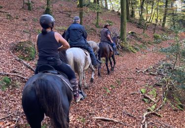 Tocht Paardrijden Saint-Quirin - Camping st quirin 28 10 24 - Photo