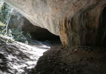 Trail Walking Bédoin - la combe du  chat combe de malaval - Photo