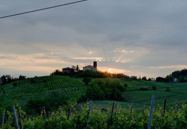 Tocht Te voet Santa Giuletta - Strada panoramica Castello-Cinque strade - Photo