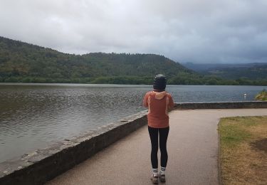 Tocht Stappen Chambon-sur-Lac - Tour du Lac Chambon - Photo