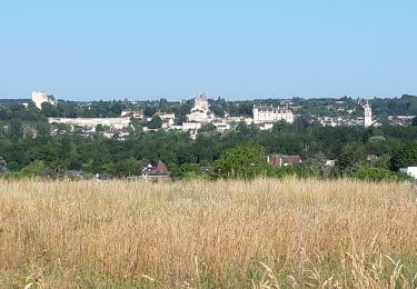 Tour Wandern Loches - Beaulieu lès Loches - Photo