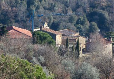 Tour Zu Fuß Monte San Savino - IT-113 - Photo