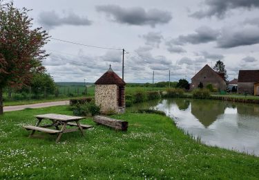 Percorso Bici da strada Paron - 170 SE85 Clos Aubry # Cerisiers-01 - Photo