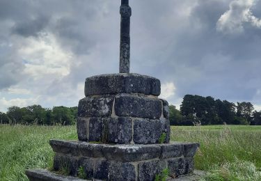 Trail Walking Pont-Aven - Pont Aven boucle via chapelle St Mathieu/Nevez/Le Henan/Penanros - Photo