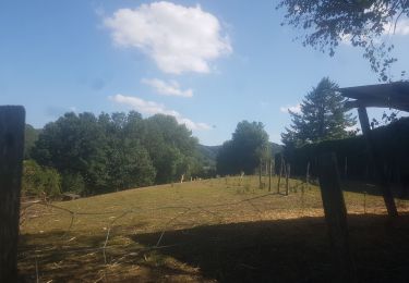 Percorso Bicicletta elettrica Villages du Lac de Paladru - vélo ae - Photo