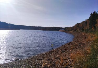 Tour Wandern Eupen - Lac du Grand Nord à Eupen   - Photo