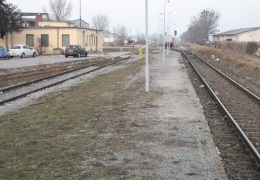 Percorso A piedi Gemeinde Guntramsdorf - Pro Consult Runde (Guntramsdorf) - Photo