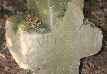 Tour Zu Fuß Bretzfeld - Obersulmer Rundwanderweg 12 - Photo