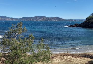 Tocht Stappen Hyères - La Madrague côté ouest - Photo