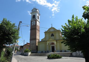 Excursión A pie Cavallirio - Sentiero Novara tappa 18 - Photo