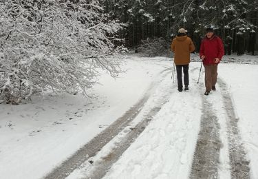 Randonnée Marche Stavelot - hockay - Photo