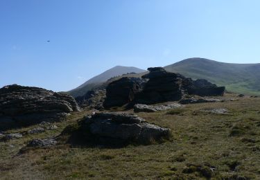 Randonnée A pied Inconnu - Halta Sebeș Olt - Cabana Suru - Curmătura Surului - Photo