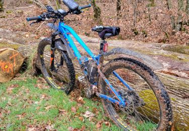 Trail Electric bike Saint-Clément - sortie vtt 17032024 - Photo