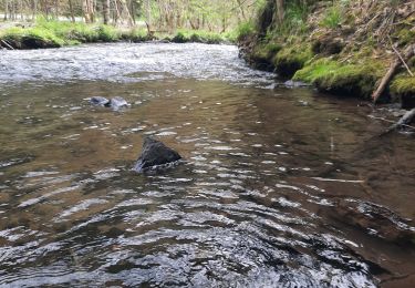 Tour Wandern Bertrix - ruisseau des Muno - Photo