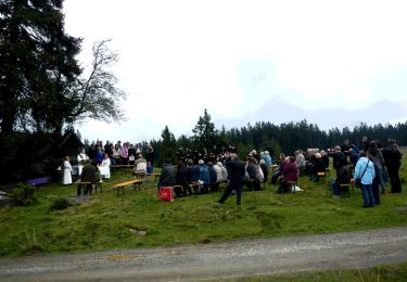 Percorso A piedi Deutschlandsberg - St. Oswalder Rundweg 1 - Photo