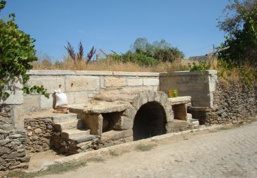 Percorso A piedi Sortes - Nas Faldas da Serra da Nogueira - Photo