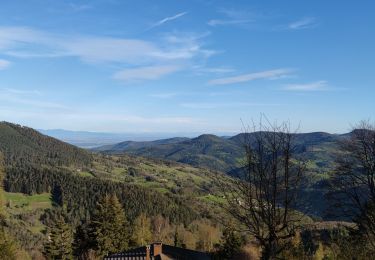 Tocht Mountainbike Fréland - haut voirimont fonderie - Photo